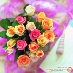 اروع صور الرومنسية 2015  صور ورود مرة رومنسية  