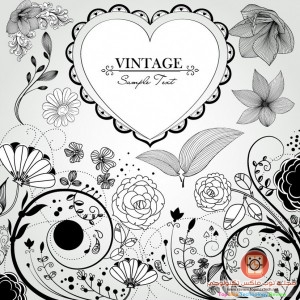 فيكتور زهور رائعة المجموعة الأولى Hand Drawn Flower Vectors