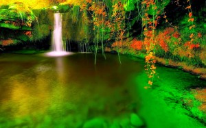 hd_wallpaper_16048