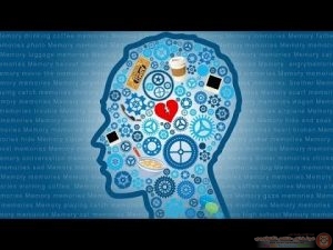 تنمية قدرات الذاكرة