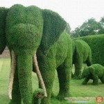 حدائق منزلية 2014   اجمل ديكورات حدائق   Decorative Garden magnificence 2015