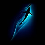 خلفيات موبايل حقيقي روعة  خلفيات جوال 2016 - 2017