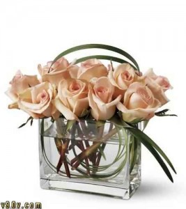 images83l