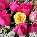 صوره ورود صور ورود جميلة روعه باقات ورد طبيعي وورد جوري2017  للاحباب والعشاق