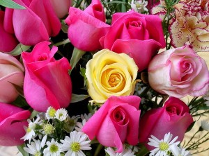 img_1375454803_903