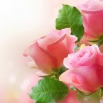 صوره ورود صور ورود جميلة روعه باقات ورد طبيعي وورد جوري2017  للاحباب والعشاق