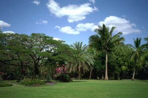 img_1378246174_721