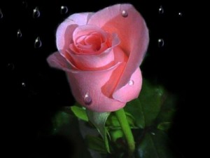 img_1415120413_261