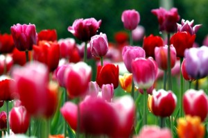 img_1415120416_902