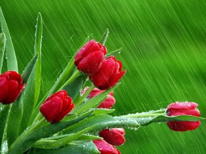img_1415120424_958