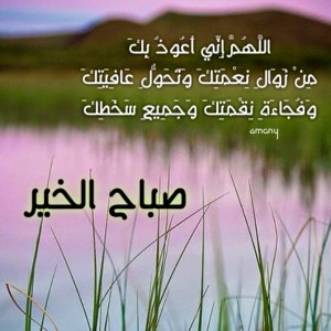 img_1440921431_305