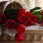 صور اجمل صور ورود احلي صور ازهار  