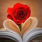 صور اجمل صور ورود احلي صور ازهار  