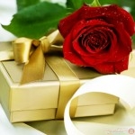 صور اجمل صور ورود احلي صور ازهار  