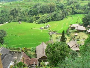 indonesia-e1450261242620
