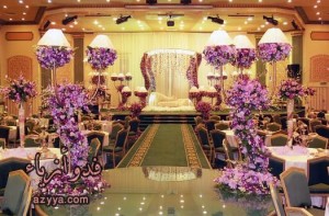 kushat (3)