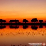 مناظر طبيعية خلابة وساحرة landscapes