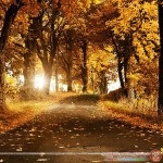 مناظر طبيعية خلابة وساحرة landscapes