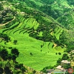 صورمن مدينةإب اليمنيه