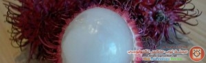 فوائد ثمرة رامبوتان