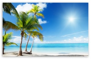 tropical_beach_paradise-t2