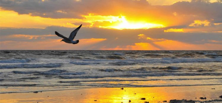 10 نصائح طبية لحياة صحية أفضل تعرف عليها