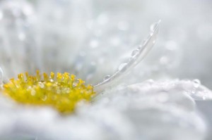unnamed (9)