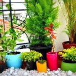 ديكورات حدائق منزلية مدهشه لمداخل الفلل وللبلكونات 