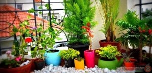 ديكورات حدائق منزلية مدهشه لمداخل الفلل وللبلكونات 