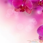 خلفيات طبيعية 2015 Wallpaper HD