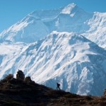 صور خلفيات جميلة مناظر طبيعية بجودة HD