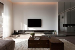 ديكورات-تلفزيون-بلازما-1-450x300