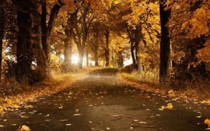 صور-خلفيات-2-450x281