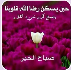 صور-صباح-الخير-صور-صباحية-مكتوب-عليها-صباح-الخير-2 (2)