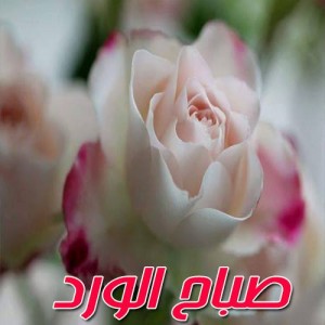 صور-صباح-الخير-صور-صباحية-مكتوب-عليها-صباح-الخير-20