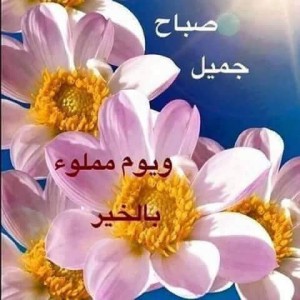 صور-صباح-الخير-صور-صباحية-مكتوب-عليها-صباح-الخير-29