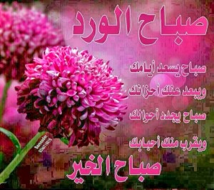 صور-صباح-الخير-صور-مكتوب-عليها-صور-رائعة-18