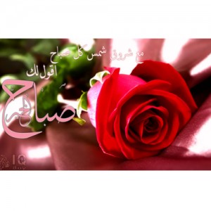 صور صباح الخير للفيسبوك