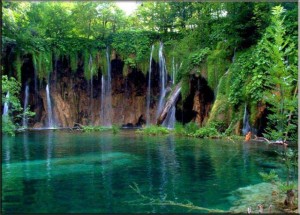 صور-طبيعة-اجمل-الصور-صور-جميلة-صور-طبيعية-صور-جديدة-11