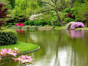 صور-طبيعة-اجمل-الصور-صور-جميلة-صور-طبيعية-صور-جديدة-7