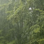 صور طبيعية ومناظر طبيعية للمياه