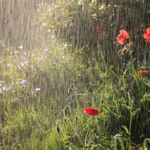 صور طبيعية ومناظر طبيعية للمياه