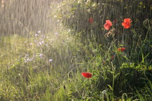 صور طبيعة-صور طبيعية- مناظر طبيعية- صور أنهار (11)