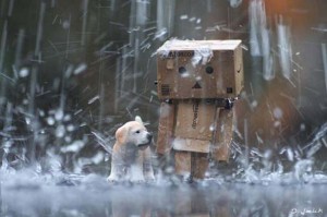 صور طبيعة-صور طبيعية- مناظر طبيعية- صور أنهار (12)