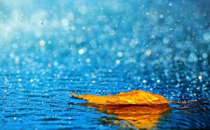صور طبيعة-صور طبيعية- مناظر طبيعية- صور أنهار (8)