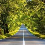اروع صور للاشجار والازهار 