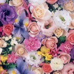صوره ورود صور ورود جميلة روعه باقات ورد طبيعي وورد جوري2017  للاحباب والعشاق